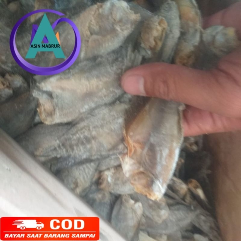 

ikan asin-asin sepat kecil-asin enak dan murah dan bisa bayar ditempat