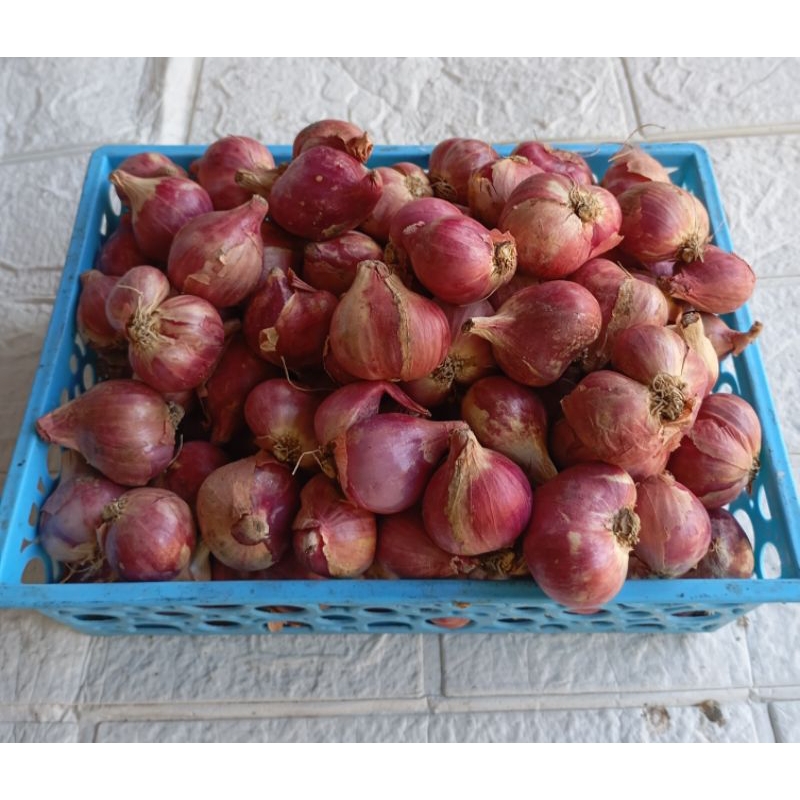 

Bawang merah Brebes bawang merah super