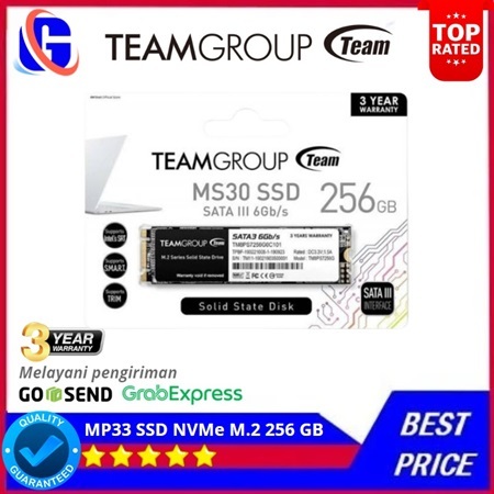 Team MP33 SSD NVMe M.2 256 GB - NVMe 256GB