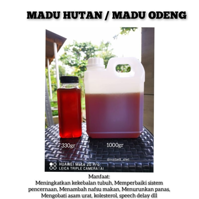 

MADU HUTAN MADU ODENG ASLI 1000GR