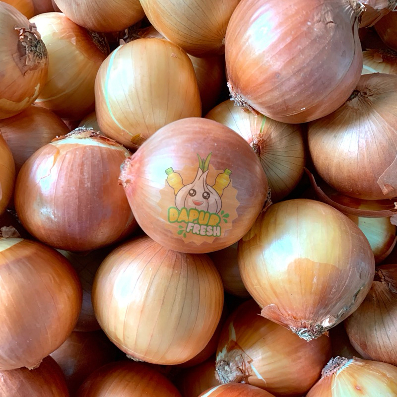 

BAWANG BOMBAY ONION FRESH 1KG / BAWANG BOMBAY ONION 500gr