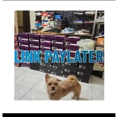 LINK PAYLATER