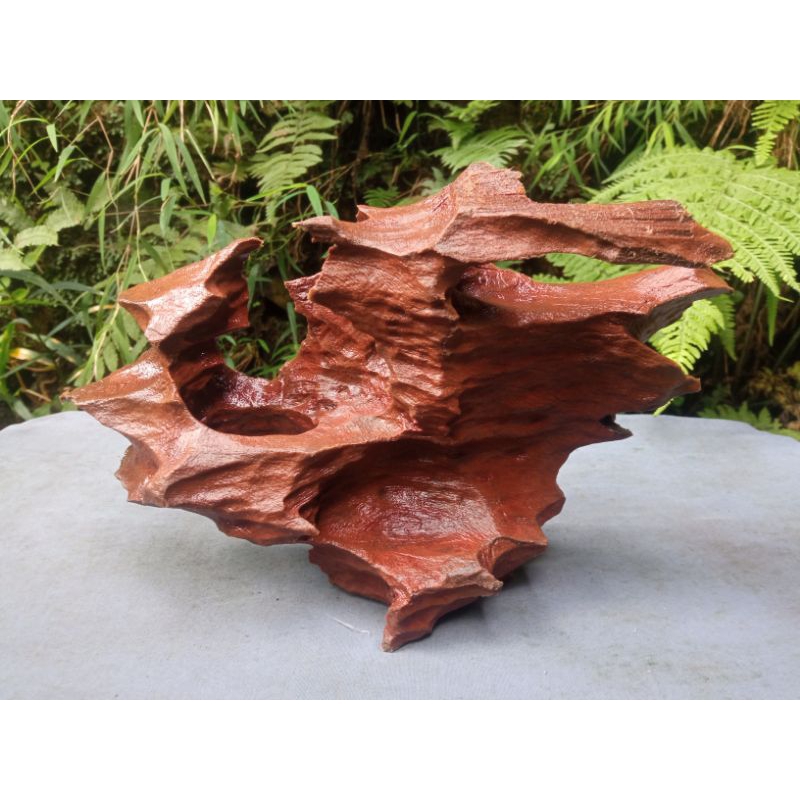 kayu Aquascape Full Tenggelam