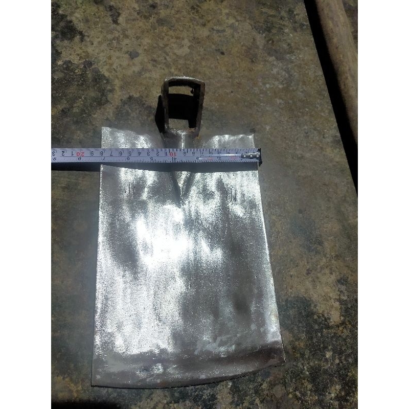 pacul cap garbu Blitar 18 cm