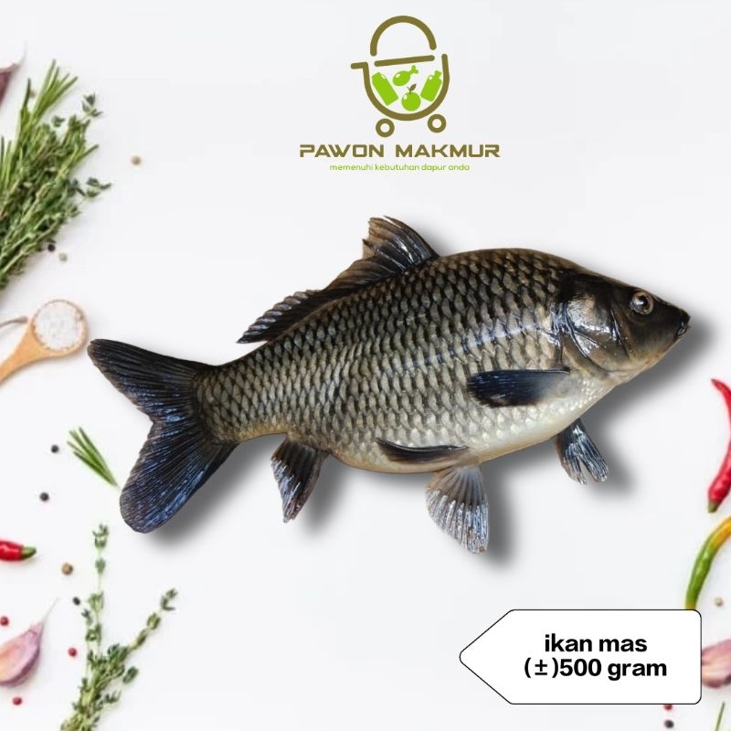 

IKAN MAS FRESH (±) 1 KG / SUDAH BESIANG ATAU DIBERSIHKAN DALAM NYA