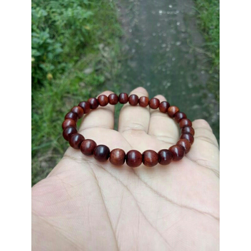 gelang akar nagasari