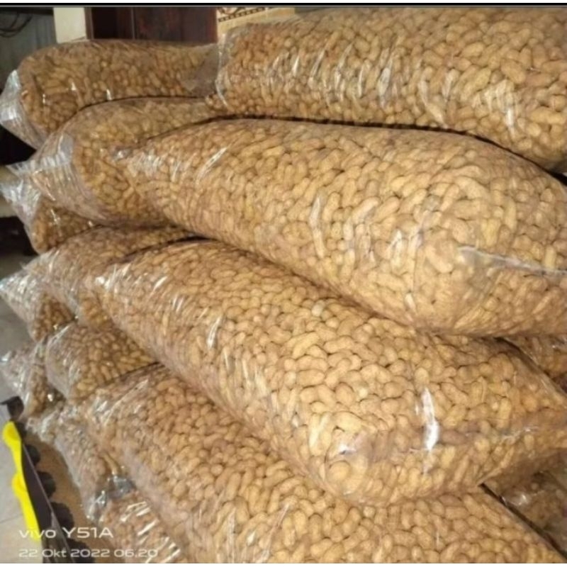 

1 ball kacang kulit sangrai madura isi 5kg