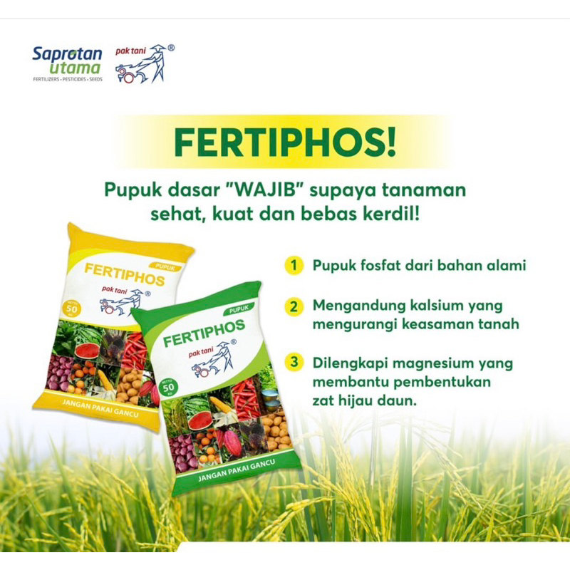 pupuk fertiphos repack 500gr (fosfat kalsium magnesium)