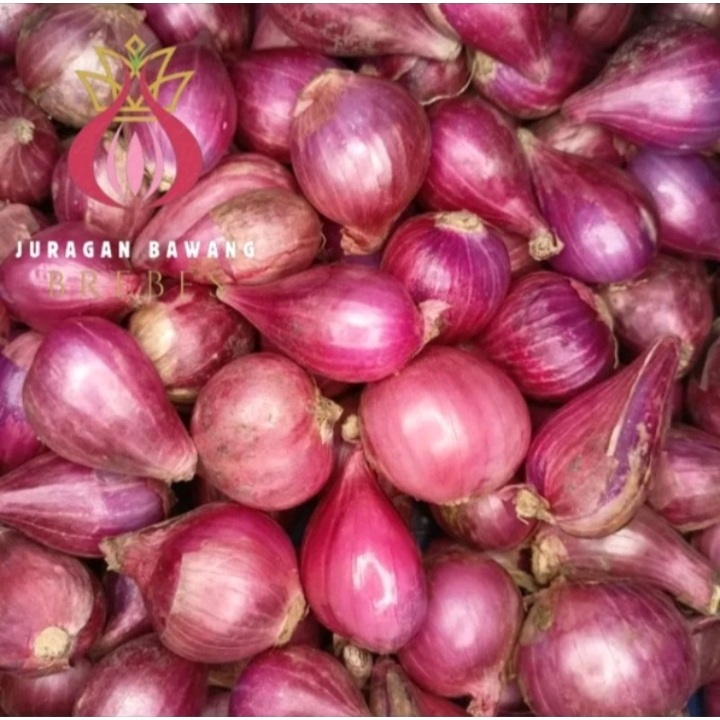 

bawang merah berebes bawang merah super babang meraaah 1 kg