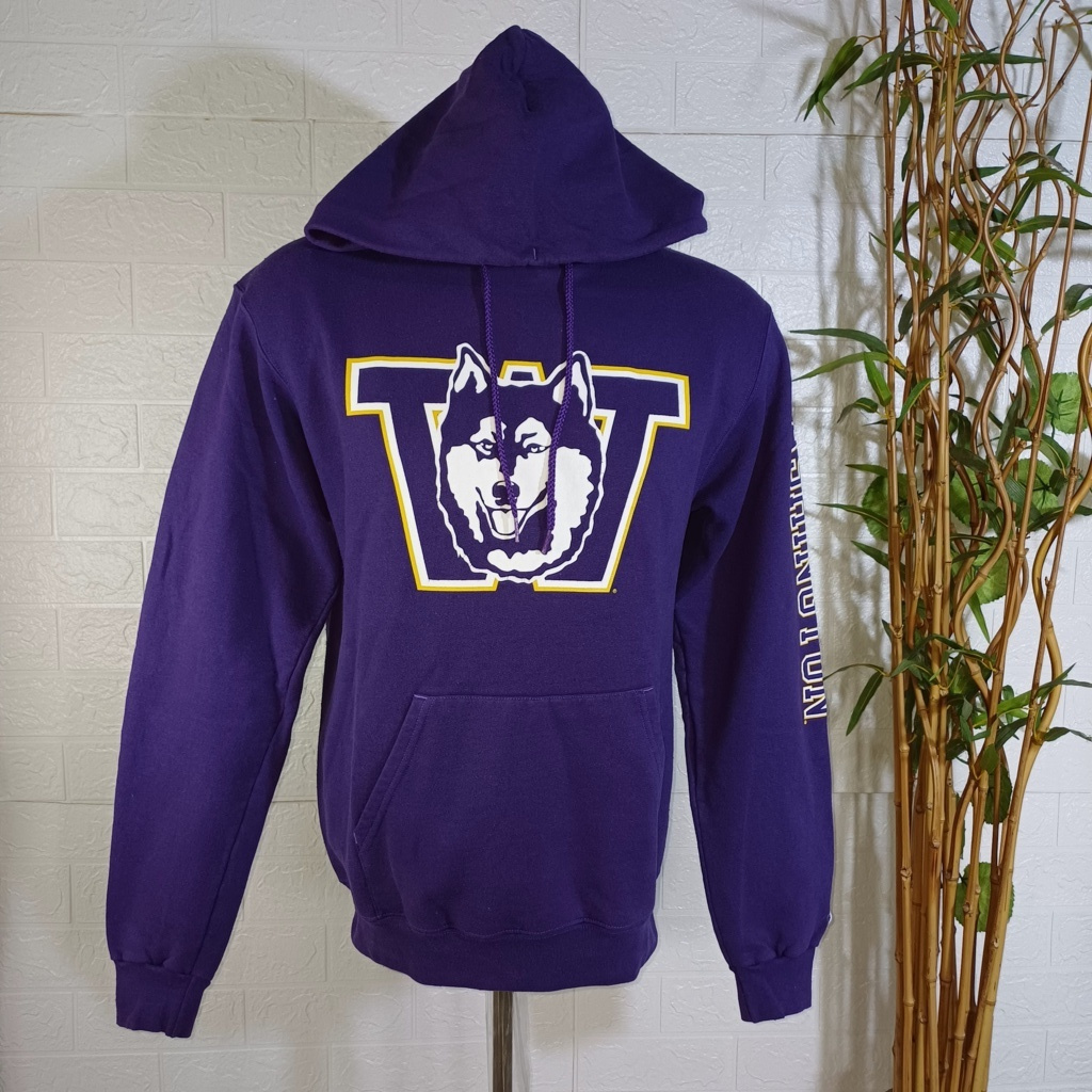 HOODIE VINTAGE CHAMPION WASHINGTON ORIGINAL, SIZE M (SECOND BRANDED) UNGU, HD0094