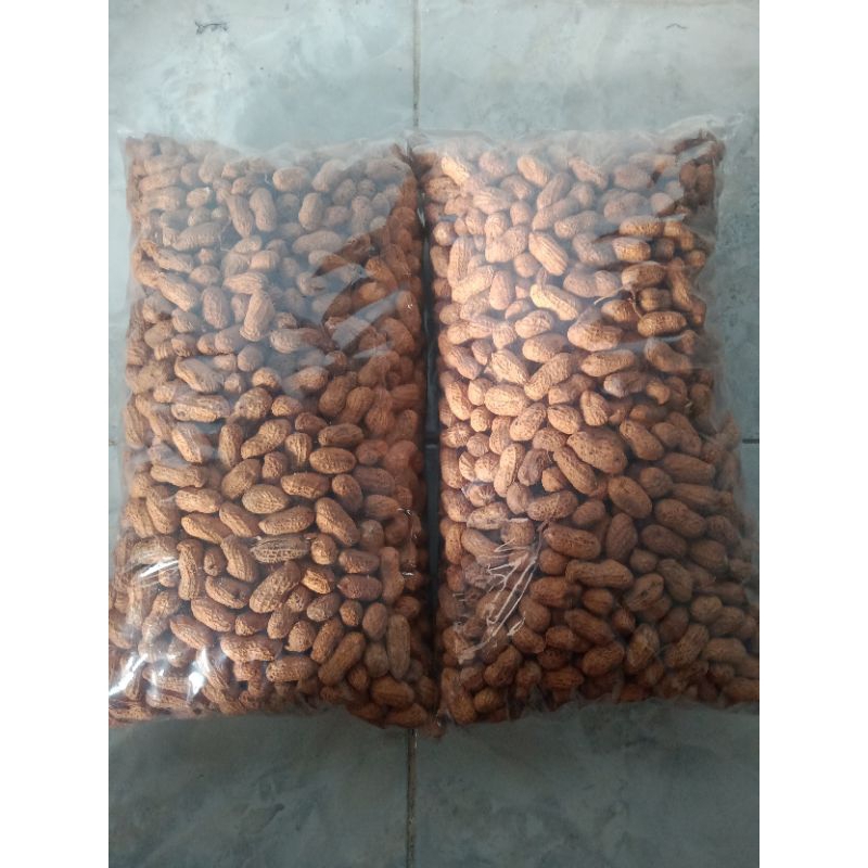 

1 kg kacang kulit sangrai ASLI MADURA / kualitas super / kacang kulit sangrai / Halal,gurih,renyah dan enak