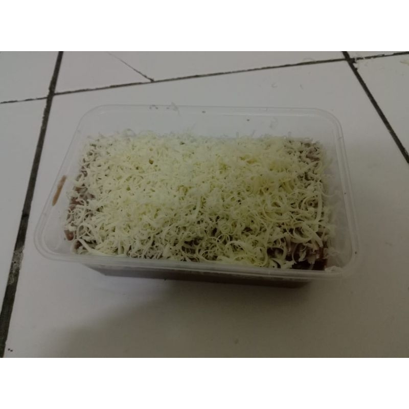 

stup soti