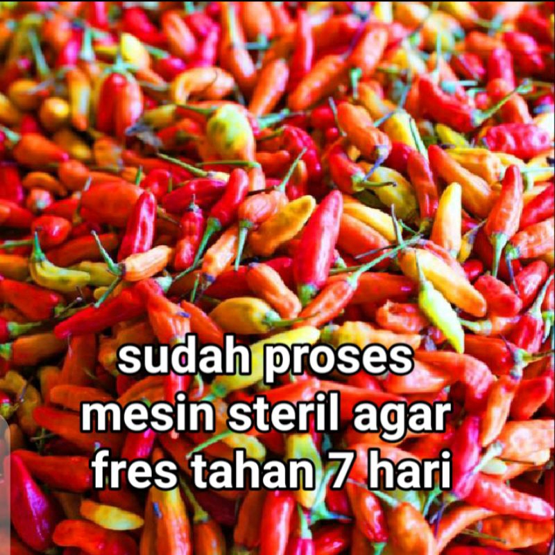 

cabai rawit merah 100g