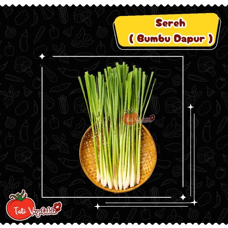 

Sereh / Serai Bumbu Dapur || Tati Vegetable || Groceries || Sayuran Segar || Grosir