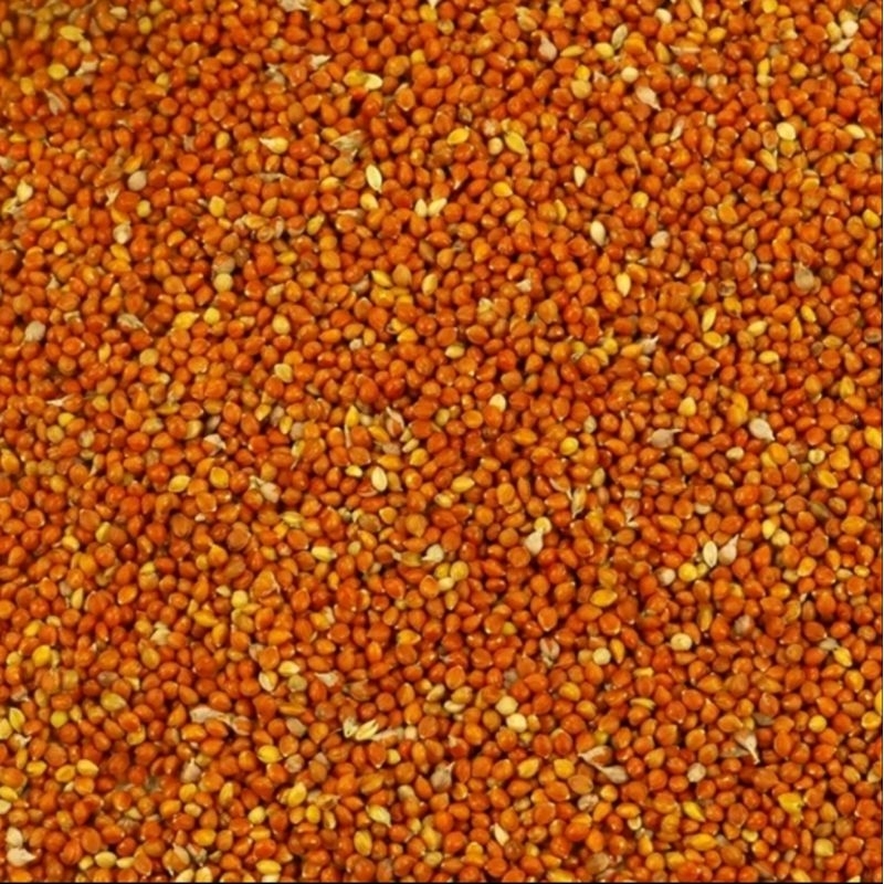 jewawut 250grm