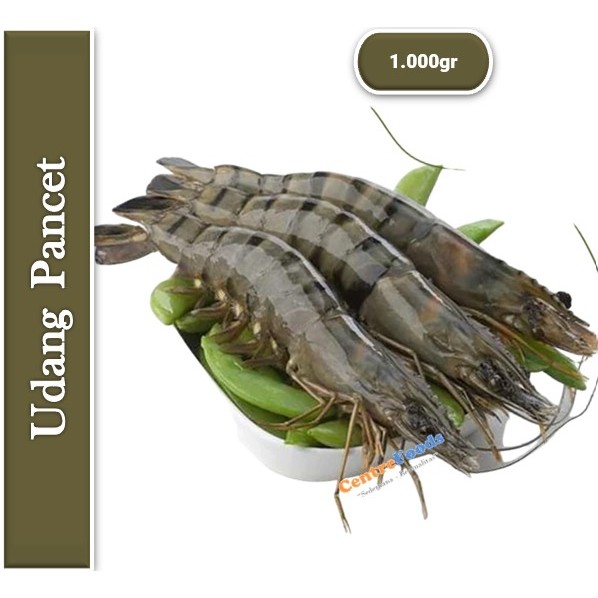 

Udang Pancet - Udang Windu Fresh | Size M/L - 1.000gr [ Harga Per KG ]