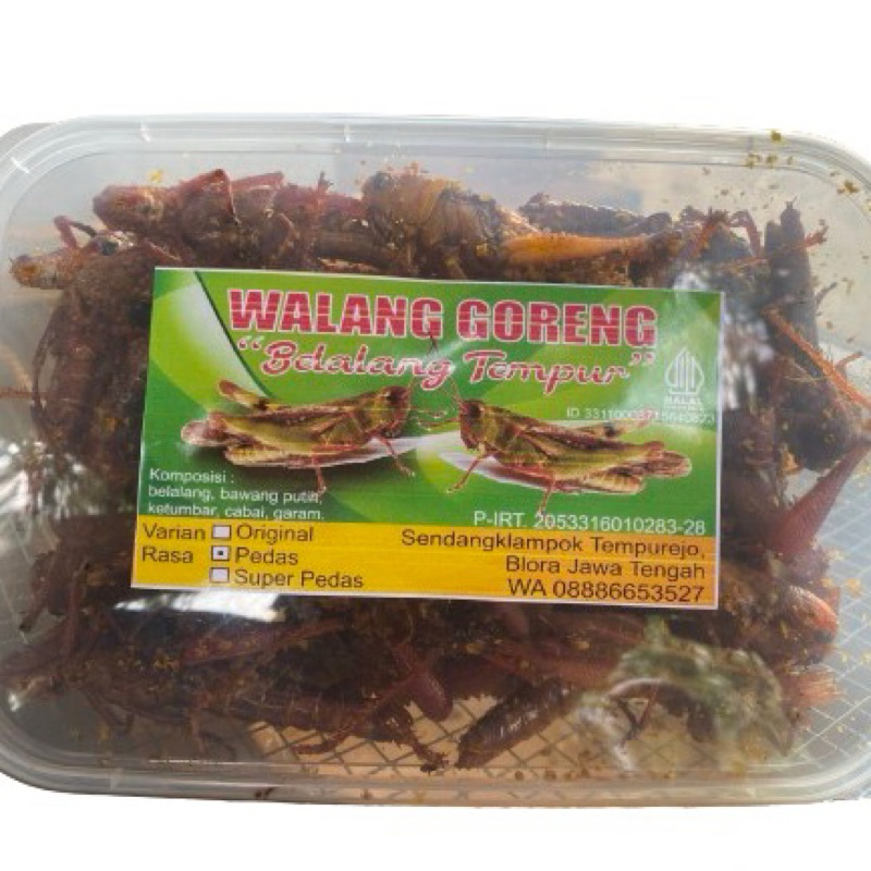 

Walang Goreng Belalang Tempur Belalang Kayu Pedas Gurih