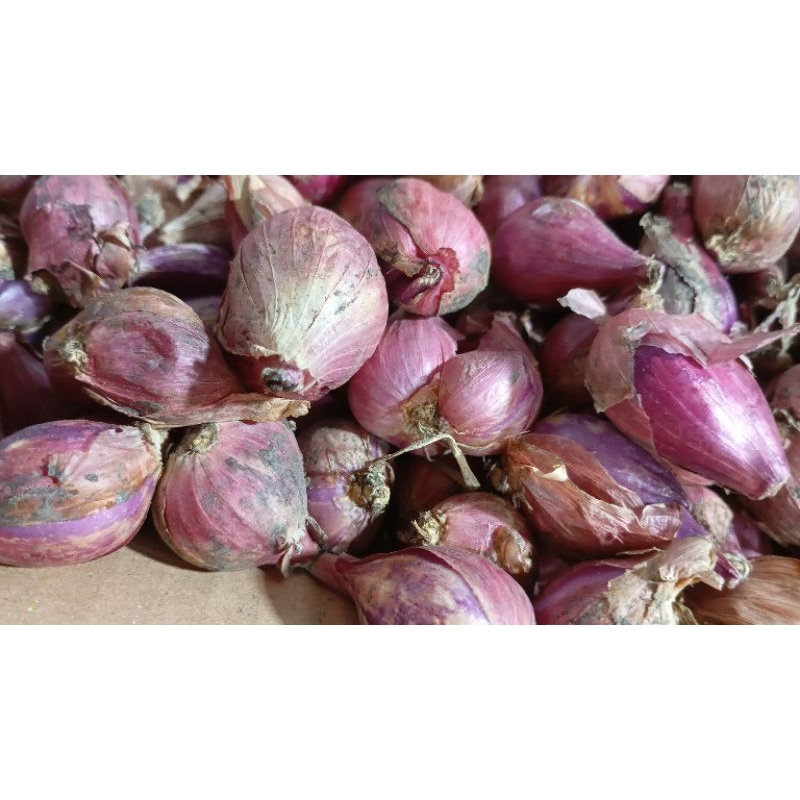 

bawang merah 250gram