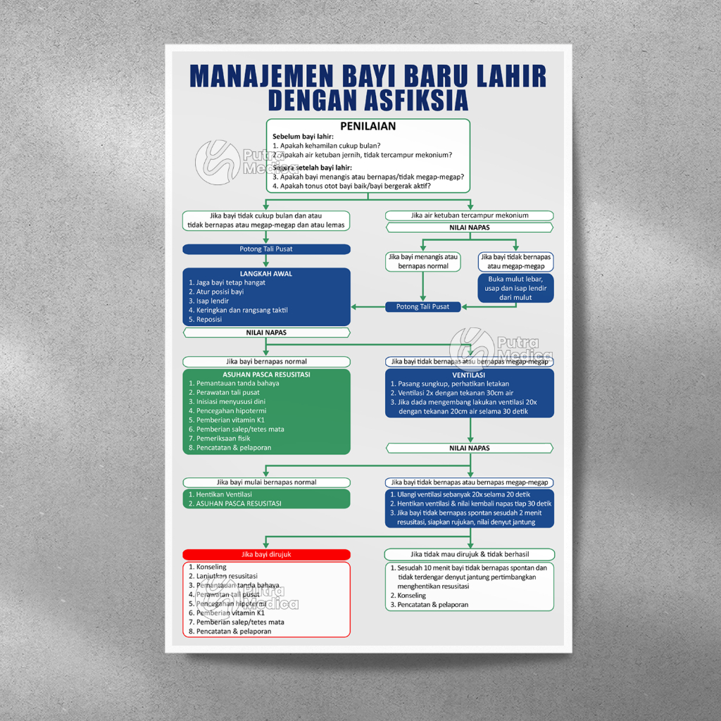 Poster Kesehatan Manajemen BBL Asfiksia A3+ / Gambar Kebidanan Perawatan Penanganan Bayi Baru Lahir