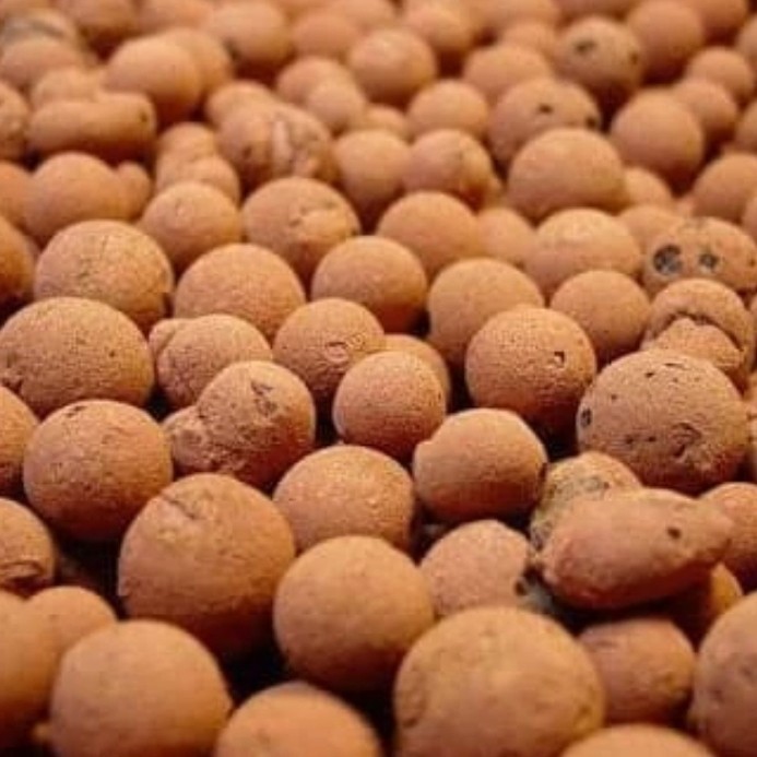 Media Tanam Hidroton Jerman