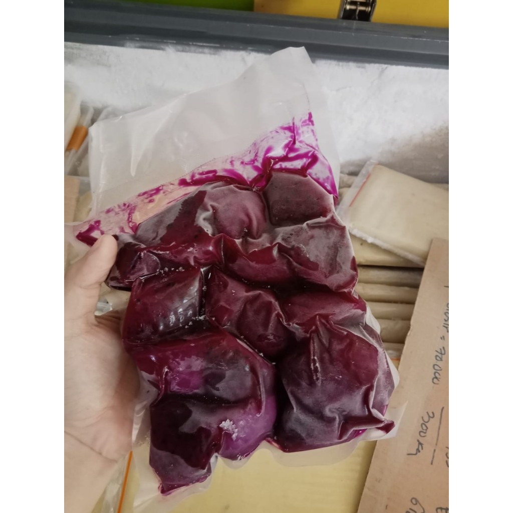 

Buah Naga Beku 1kg & 500gr | Buah Beku Buah Naga Frozen 500gr