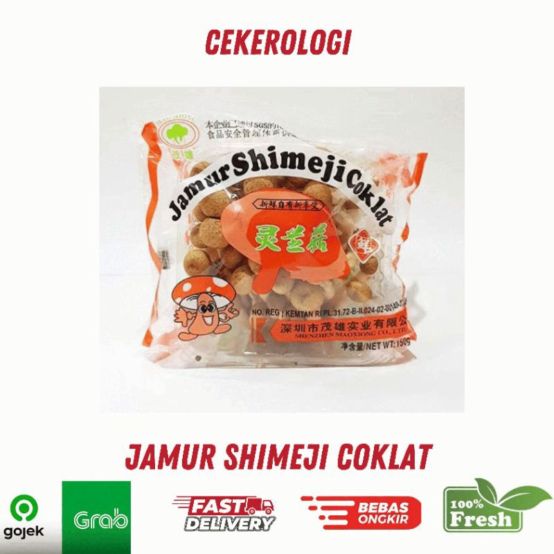 

Jamur Shimeji Coklat 1pack / Jamur Shimeji Coklat / Jamur Shimeji / Shimeji / JABODETABEK / Jamur