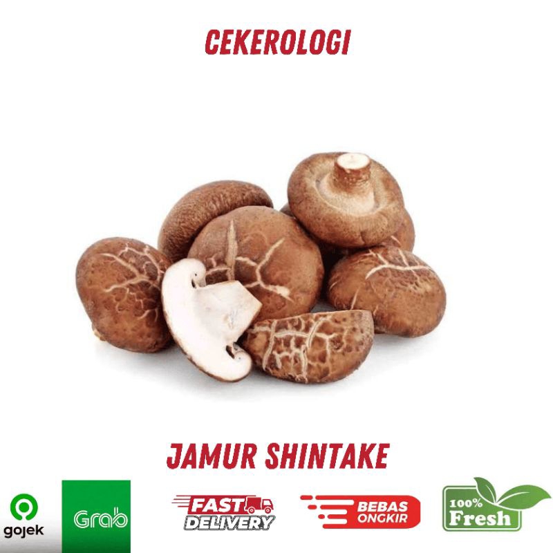 

Jamur Shintake 250gr / Jamur Shintake / Jamur / Shintake / Jamur Fresh Berkualitas / JABODETABEK / Sayur / Sayur Sayuran