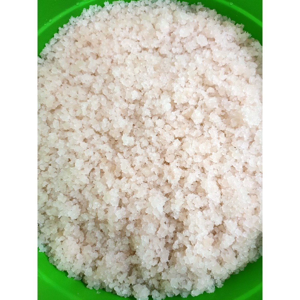 Ay00 Bibit Teratai Salju Bibit Teratai Salju Kualitas Super Herbal 500 G