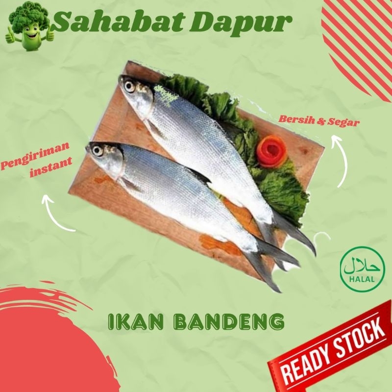 

Ikan Bandeng fresh - ikan segar palembang - Sahabat Dapur Delivery