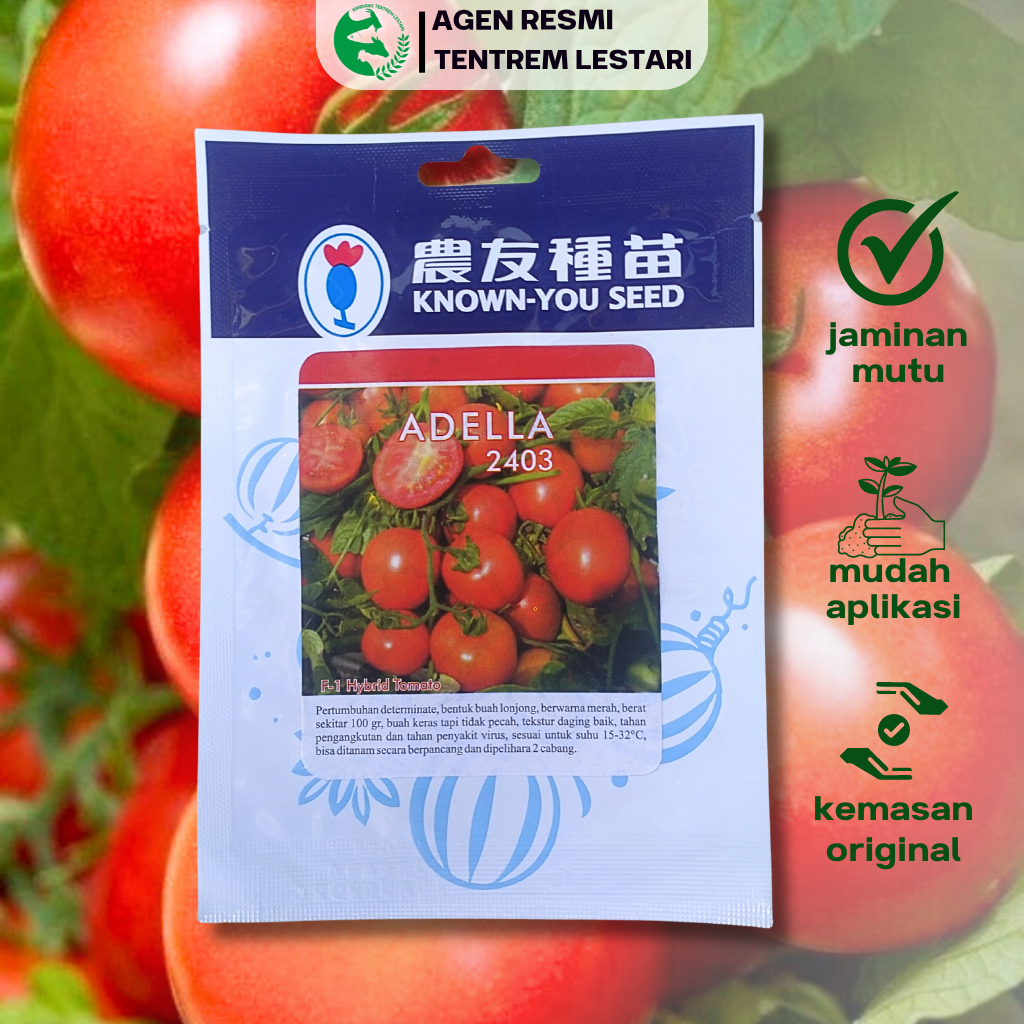 Benih Tomat Hybrid F1 ADELLA 2403 1 gram Known You Seed