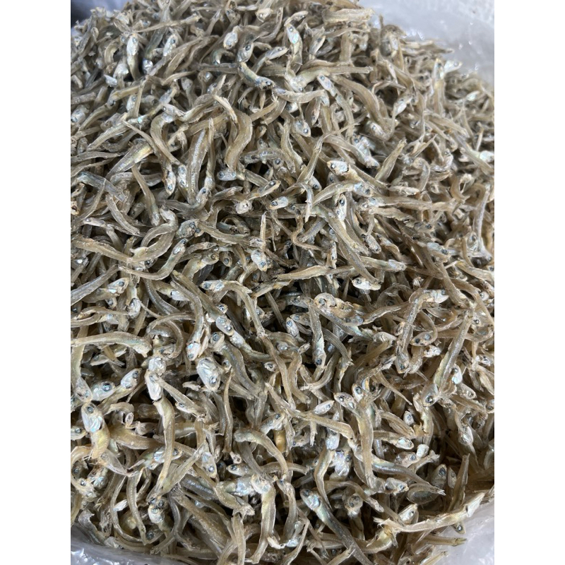 

Ikan Teri Mandeh Khas Padang Sumatera Barat