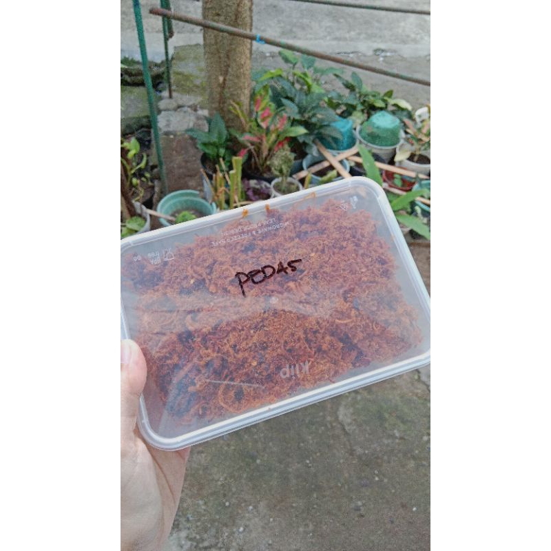 

abon ayam gurih