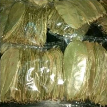 

Daun sirsak kering isi 50 lembar