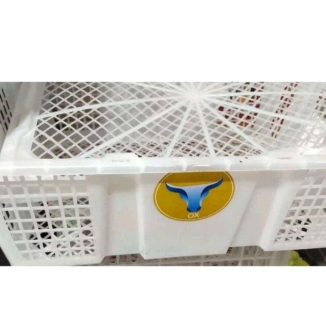 Keranjang Buah BekasKelengkeng/Keranjang Plastik /