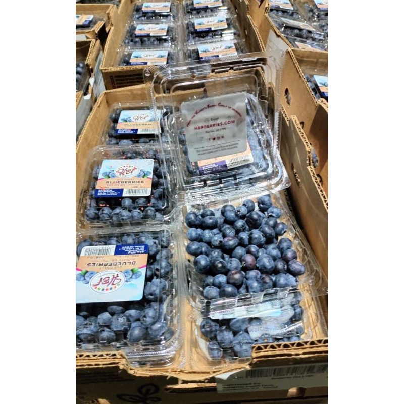 

bluberry fresh
