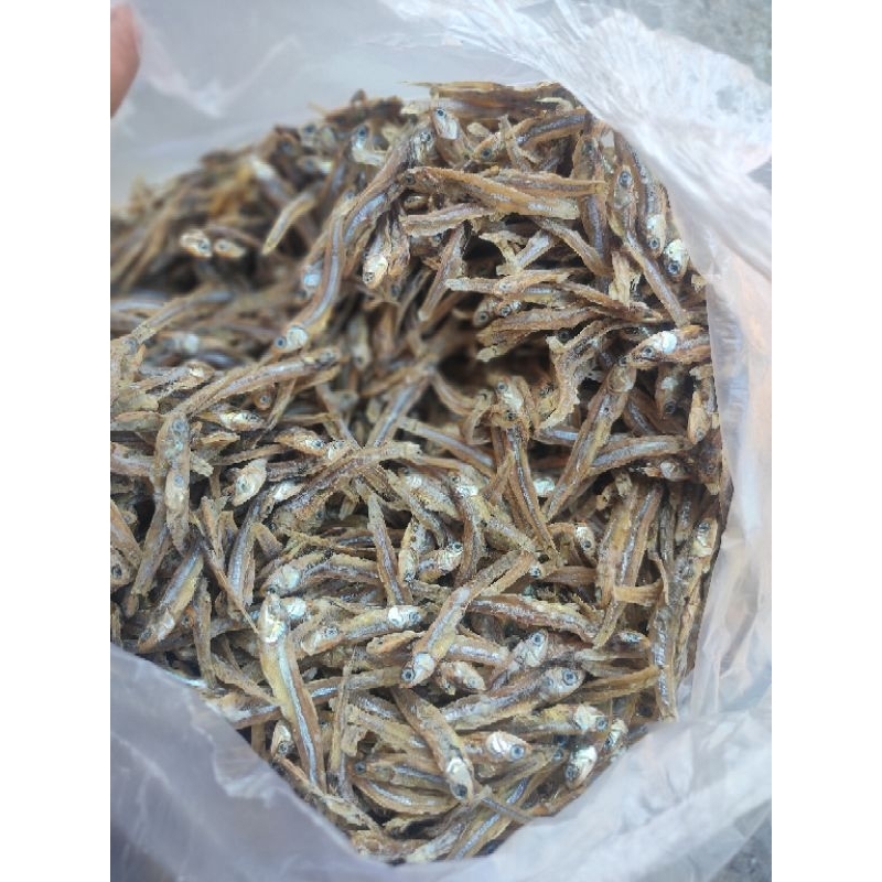 

Kriuk Teri asli Madura