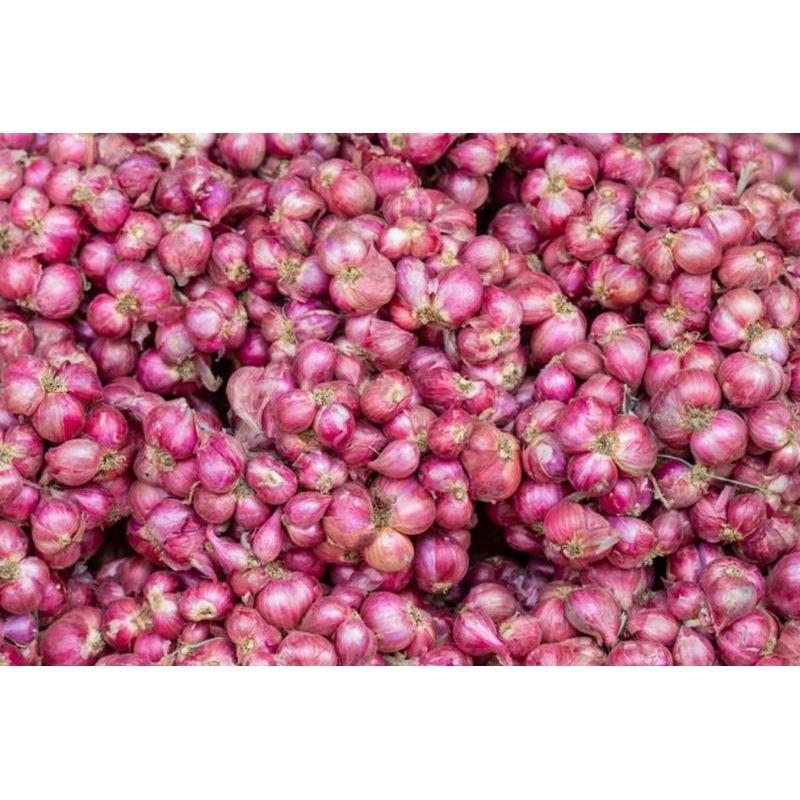 

BAWANG MERAH LOKAL1 KG TERMURAH