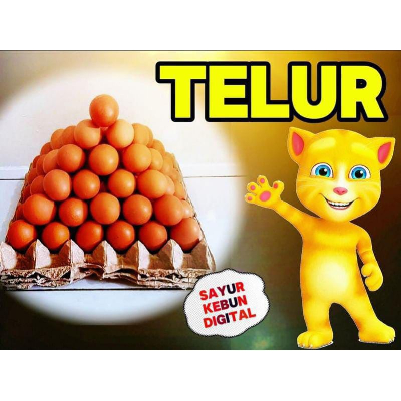 

Telur ayam curah biasa//telor ayam curah