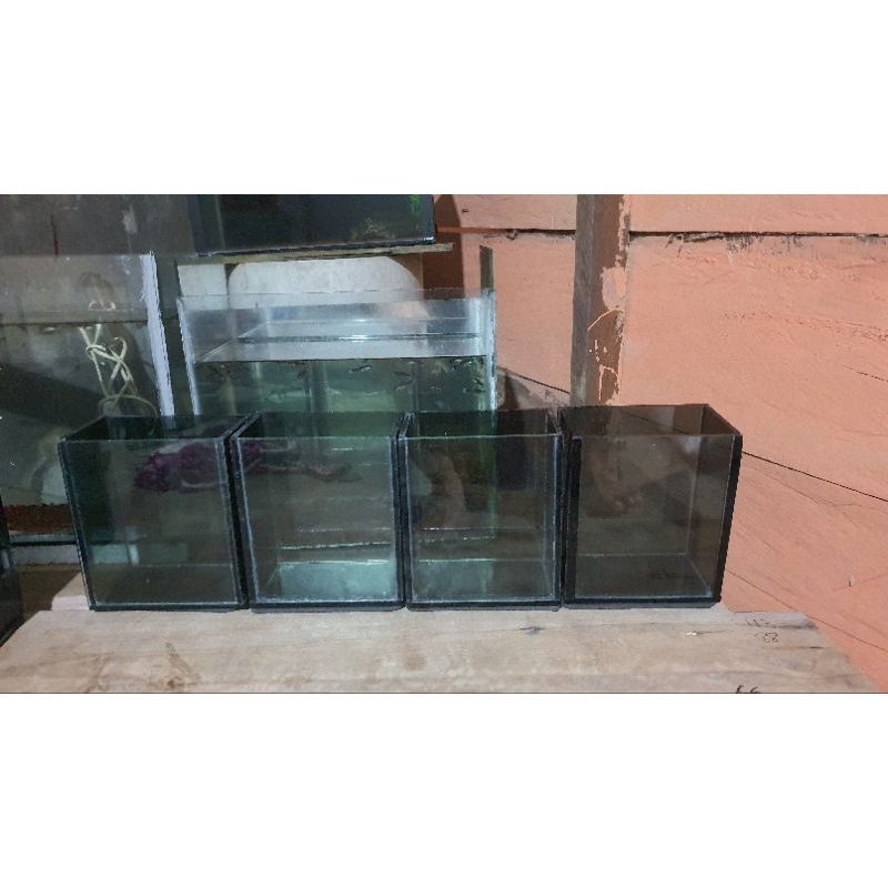 aquarium kaca|| aquarium cupang|| aquarium kecil kaca