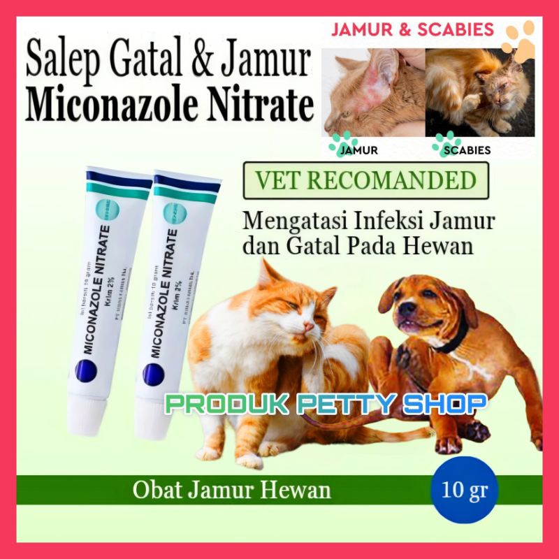 SALEP JAMUR KUCING MICONAZOLE SALEP SCABIES KUCING MICONAZOLE MENGATASI MASALAH KULIT PADA HEWAN