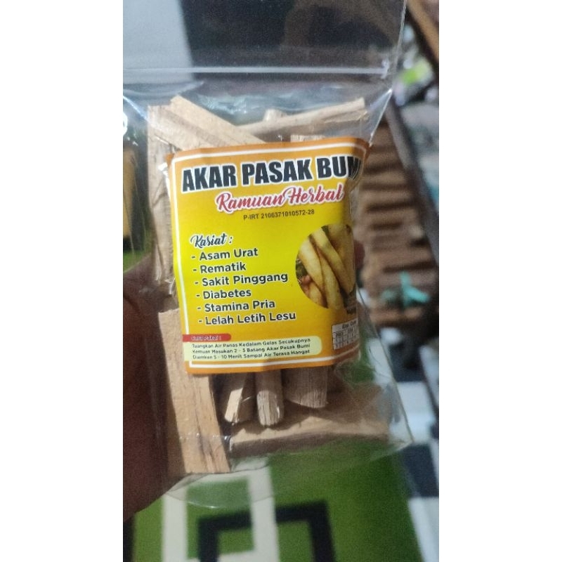 

akar pasakbumi