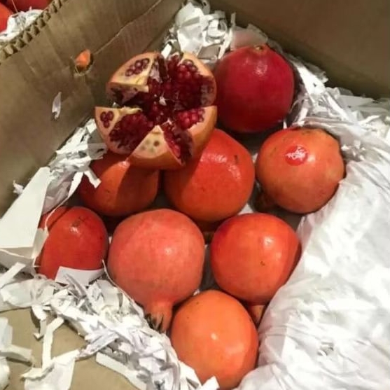 

Buah Delima import Fresh per pcs