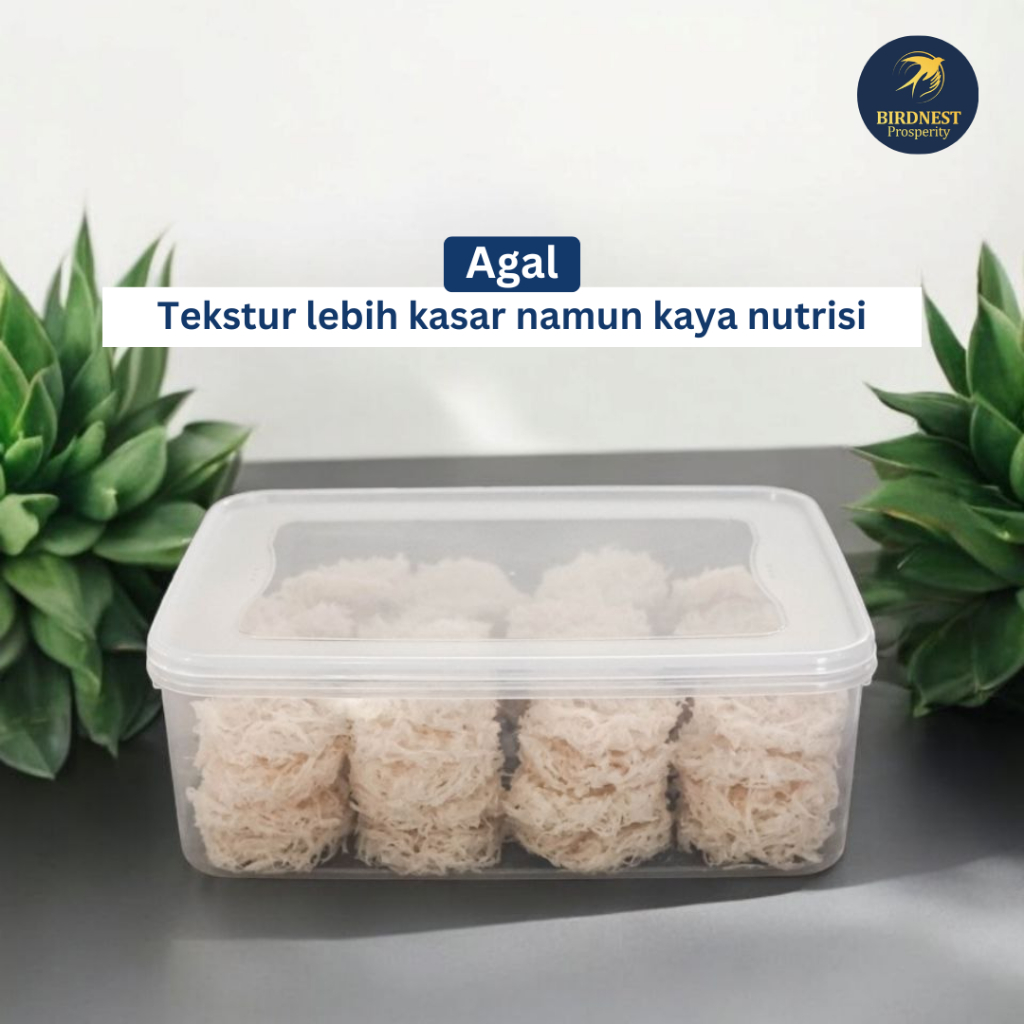 

Sarang Burung Walet Asli Jenis Agal 100gr