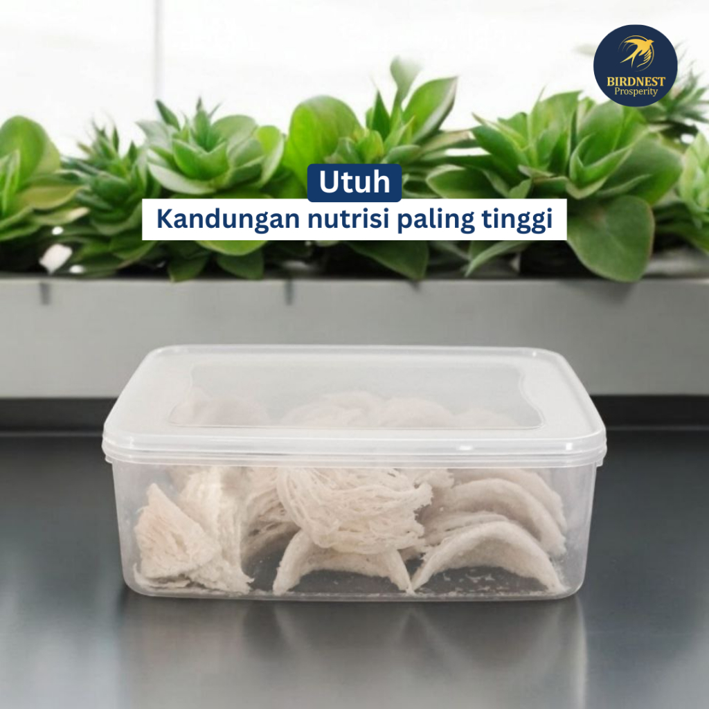 

Original Sarang Burung Walet Utuh 100gr