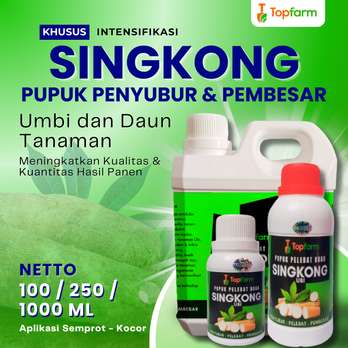 Pupuk Singkong Cepat Besar / Pupuk Pembesar Umbi Singkong / Pupuk Singkong Cair / Pupuk Singkong Amp
