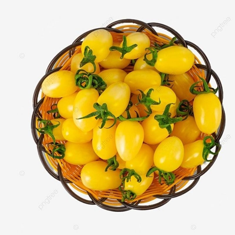 

Tomat Cherry Kuning Lonjong