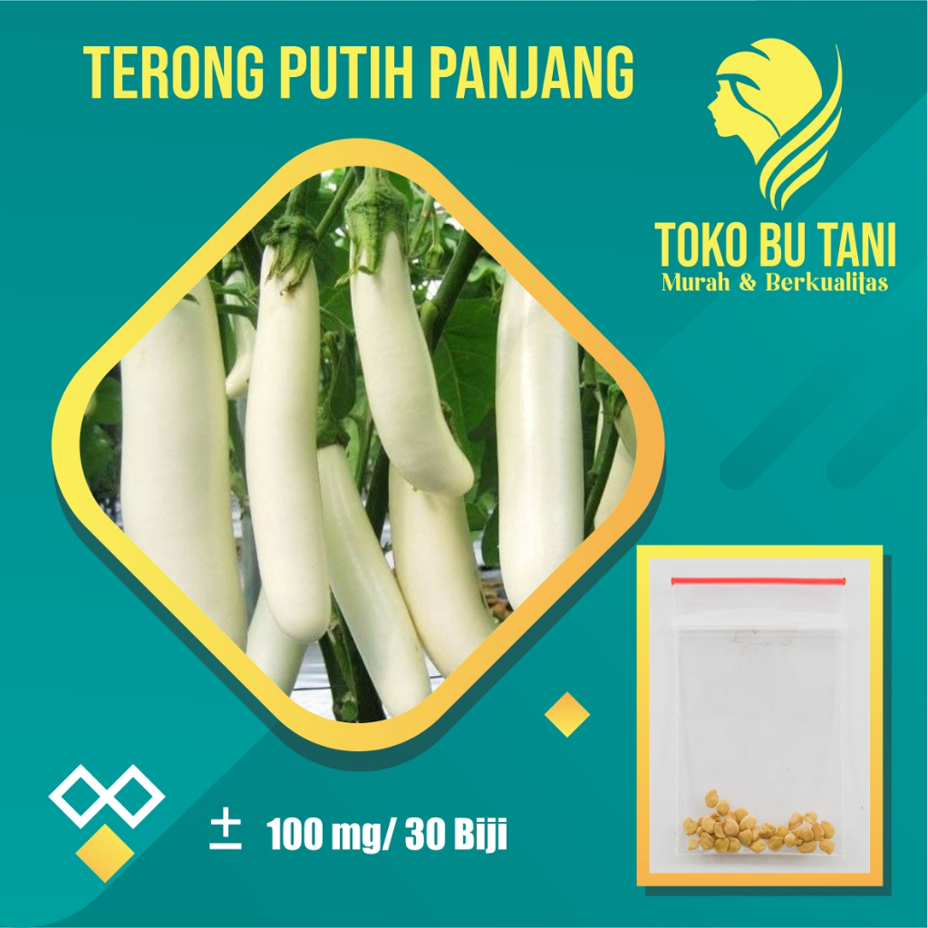 Benih Terong Putih Panjang Bibit Sayur Terong Putih Panjang