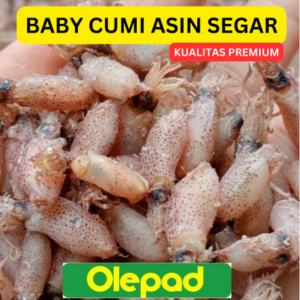 

BABY CUMI KERING ASIN MEDAN KASAR 2-3 CM MENTAH SUPER PREMIUM 500 gr