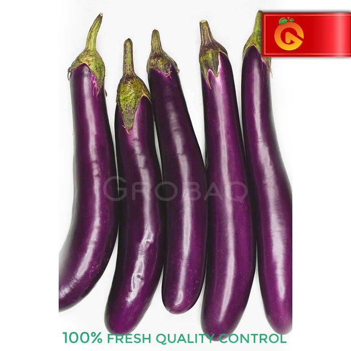 

Sayur Terong Ungu Fresh 500 Gram