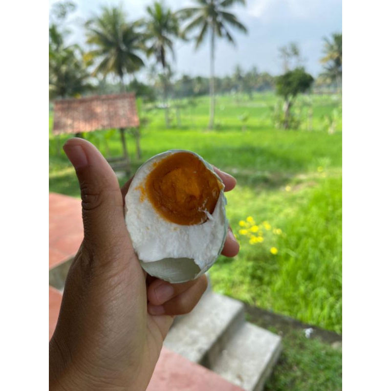 

Telur Asin Premium Masir Orange Grade A Gurih
